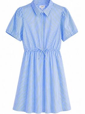 J. Crew Factory Tie Waist Collared Mini Dress - Regen (BBL)